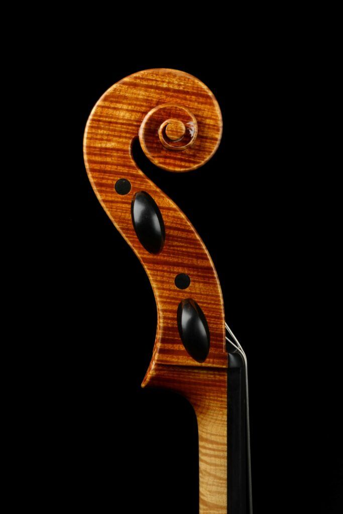 Violoncelle - Andreï JOURDANE