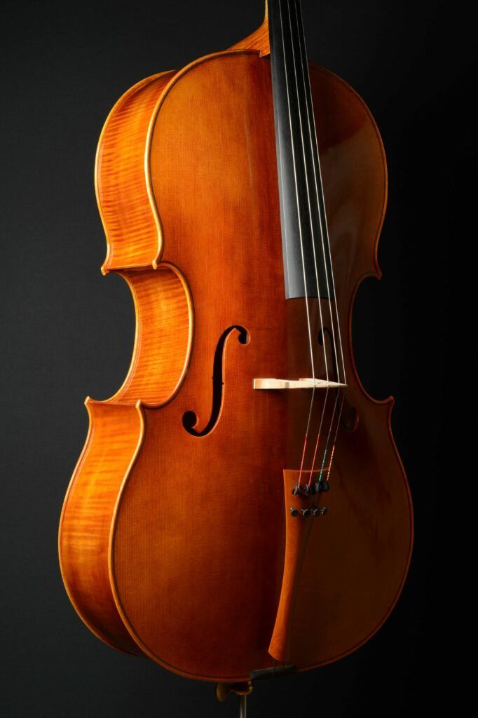 Violoncelle - Andreï JOURDANE