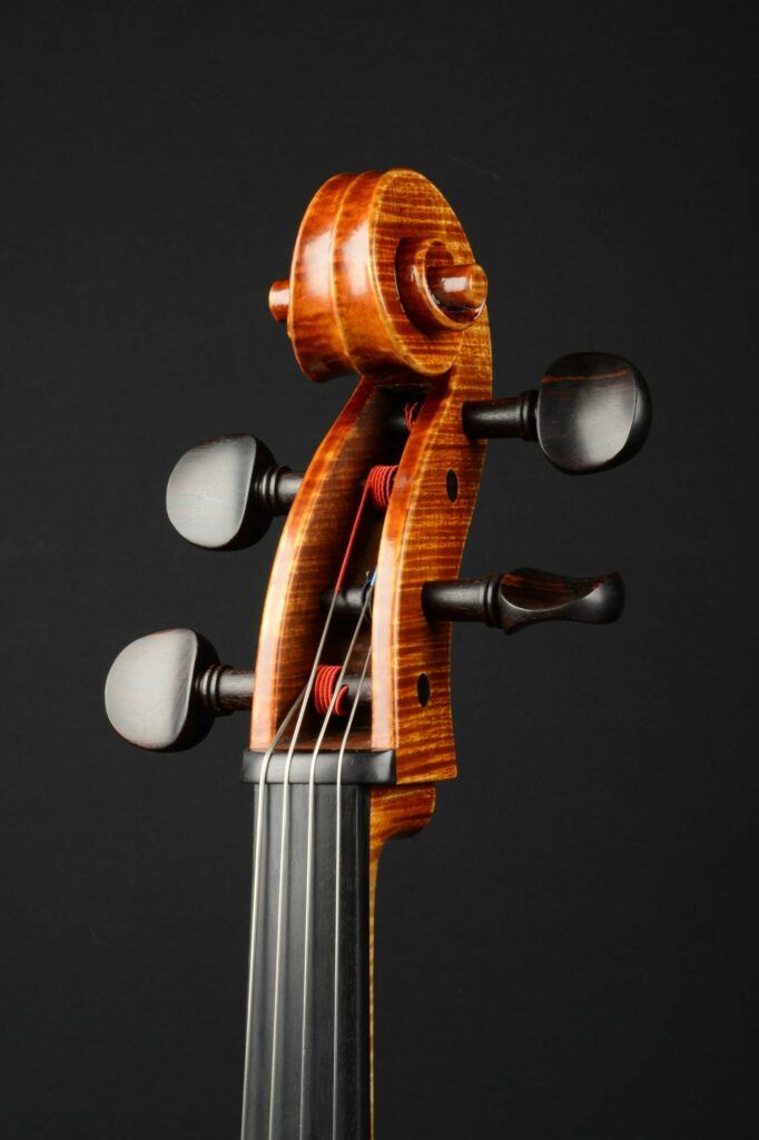 Violoncelle - Andreï JOURDANE