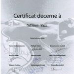 Concours international de lutherie 2016 : Certificat pour Yann Besson