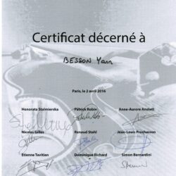 Concours international de lutherie 2016 : Certificat pour Yann Besson !