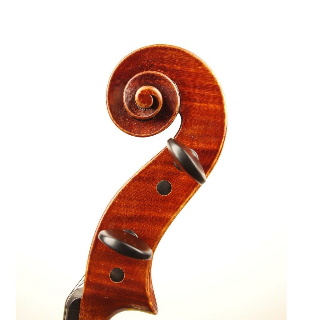 Michael Trauer - tête