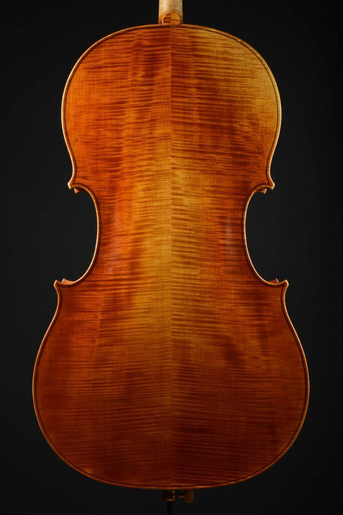 Sophie Haynes - fond