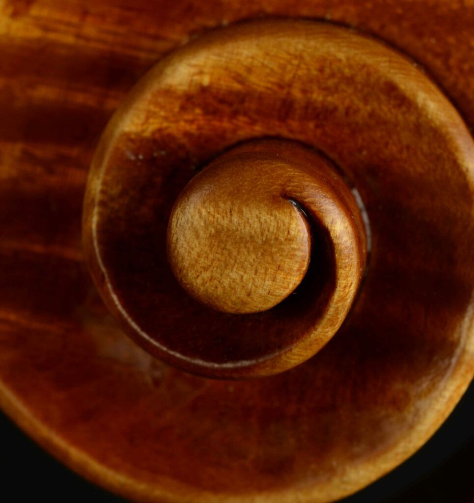 Lavania Pierre - violoncelle - tête 02