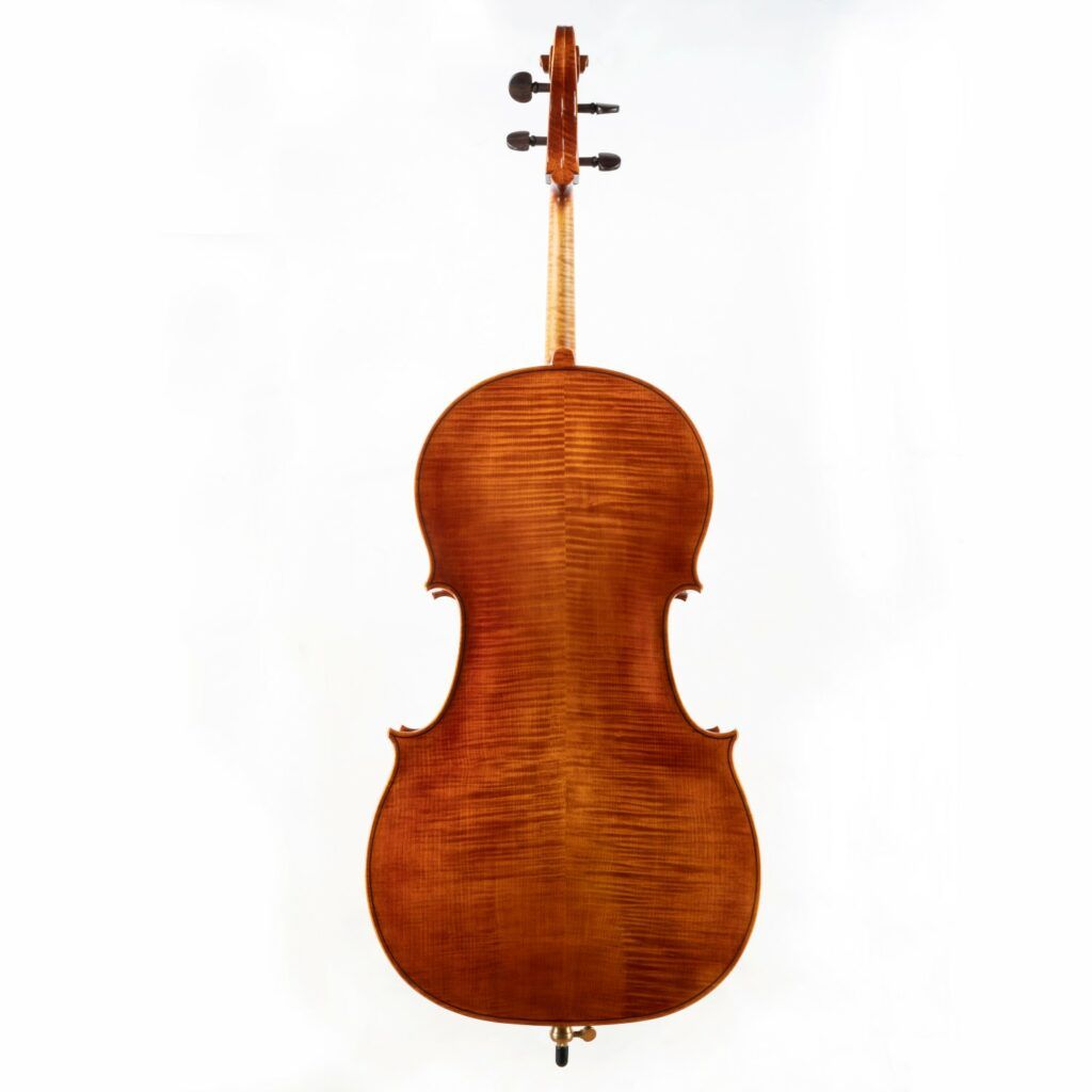 Sandra Martins - violoncelle dos