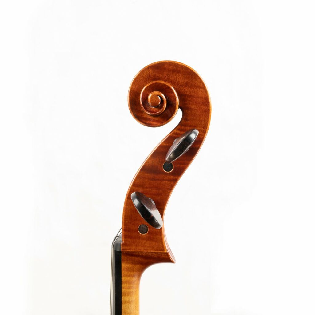 Sandra Martins - violoncelle tête