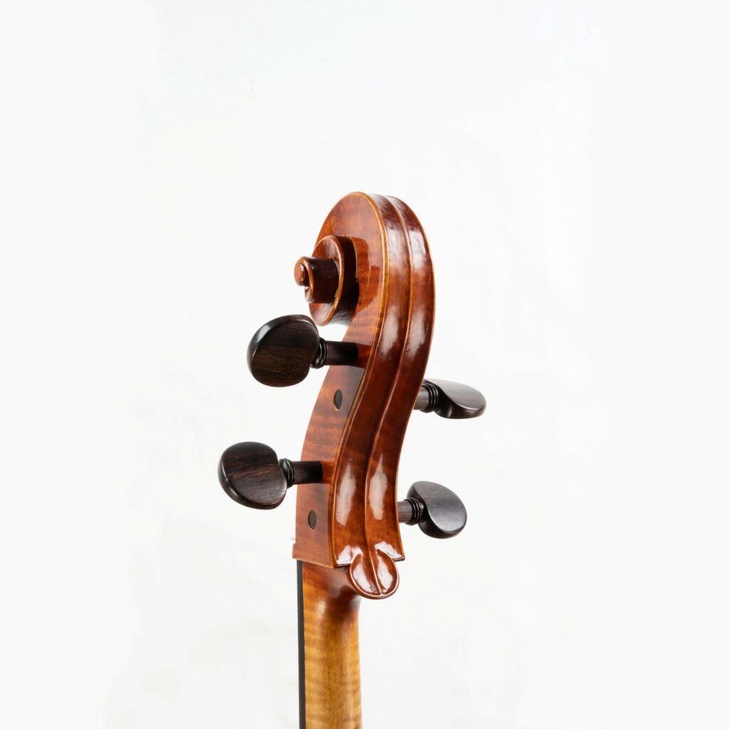 Sandra Martins - violoncelle tête