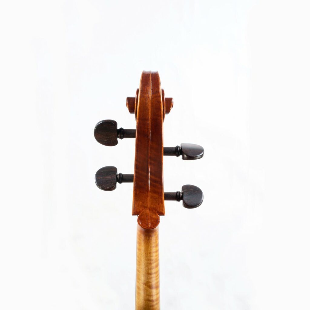 Sandra Martins - violoncelle tête