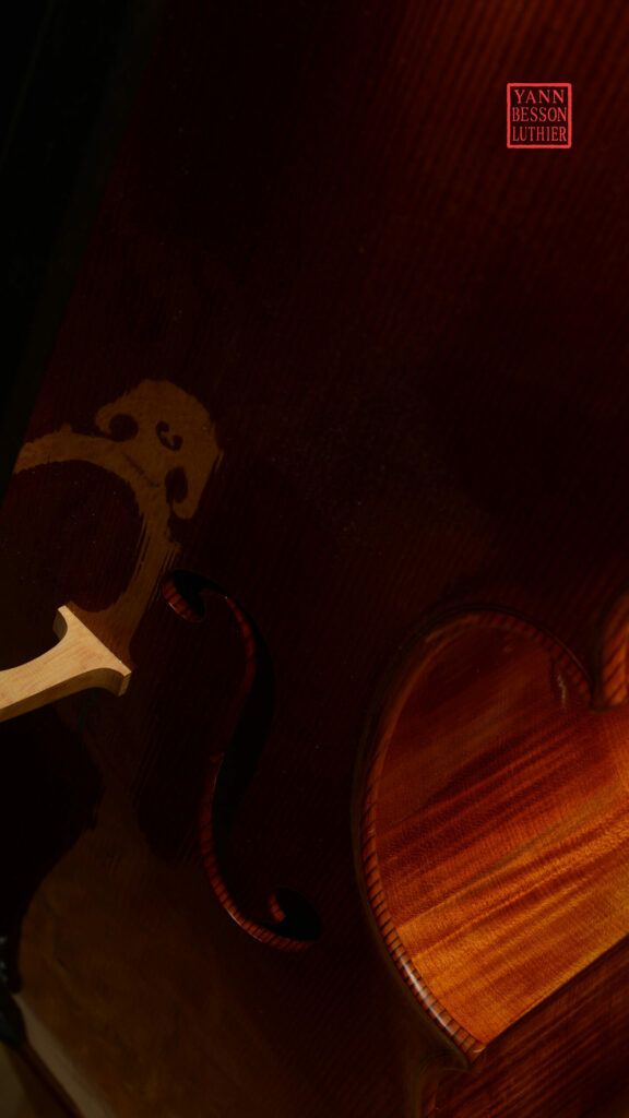 Stefan Hintersteininger - éclisse