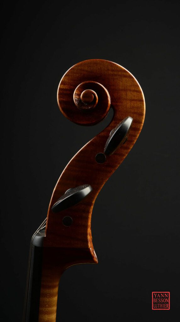 Stefan Hintersteininger - tête