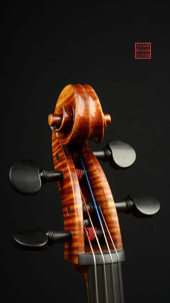 Stefan Hintersteininger - tête