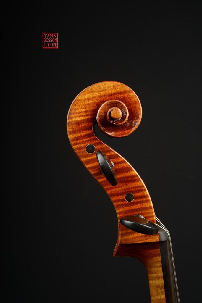 Stefan Hintersteininger - tête