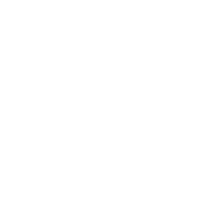 Yann Besson, luthier d'exception