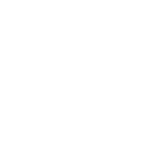Yann Besson, luthier d'exception