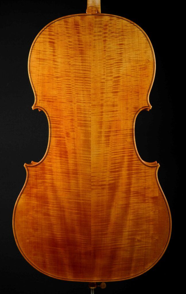 Raphael Guilbaud - violoncelle - dos