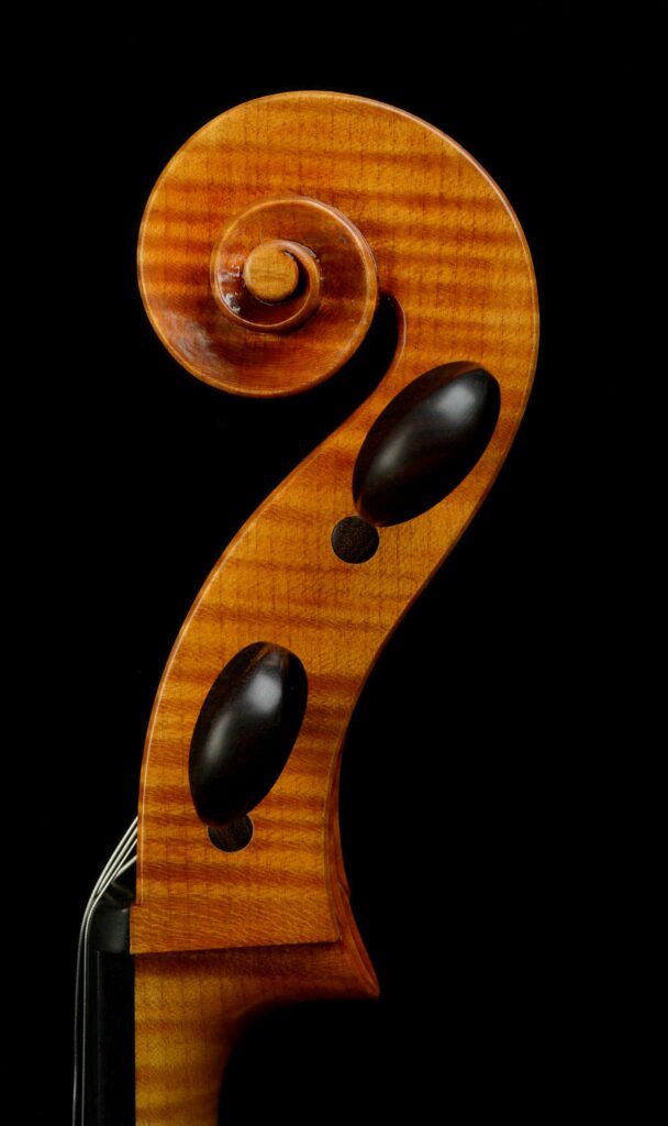 Raphael Guilbaud - violoncelle - tête