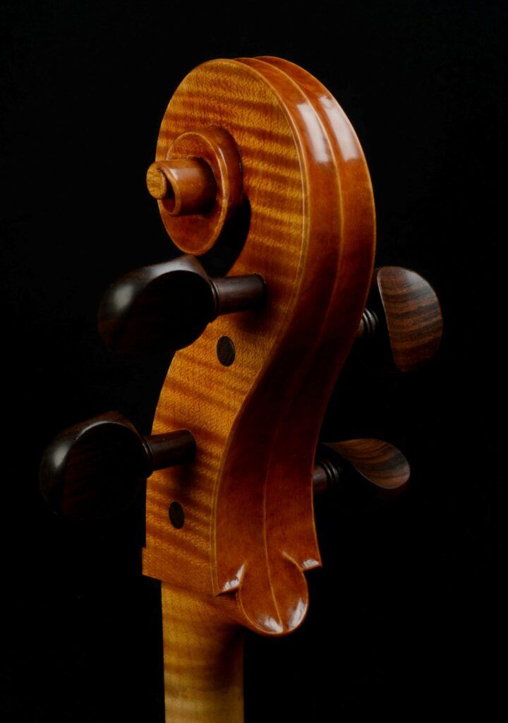 Raphael Guilbaud - violoncelle - tête