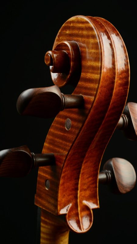 Genèse d'un violoncelle 17/20